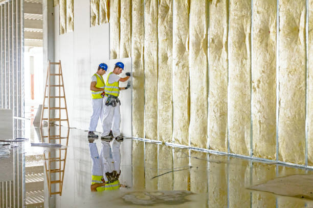 Best Insulation Maintenance and Repair in Independence, WI
